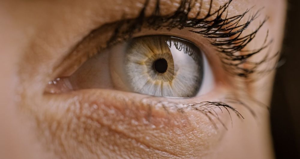 Підбір торичних лінз при астигматизмі